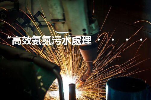 “高效氨氮污水處理，綠色環(huán)保新篇章”